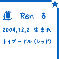 ren_profile